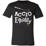 Pride Accio Equality Pride Premium T-shirt